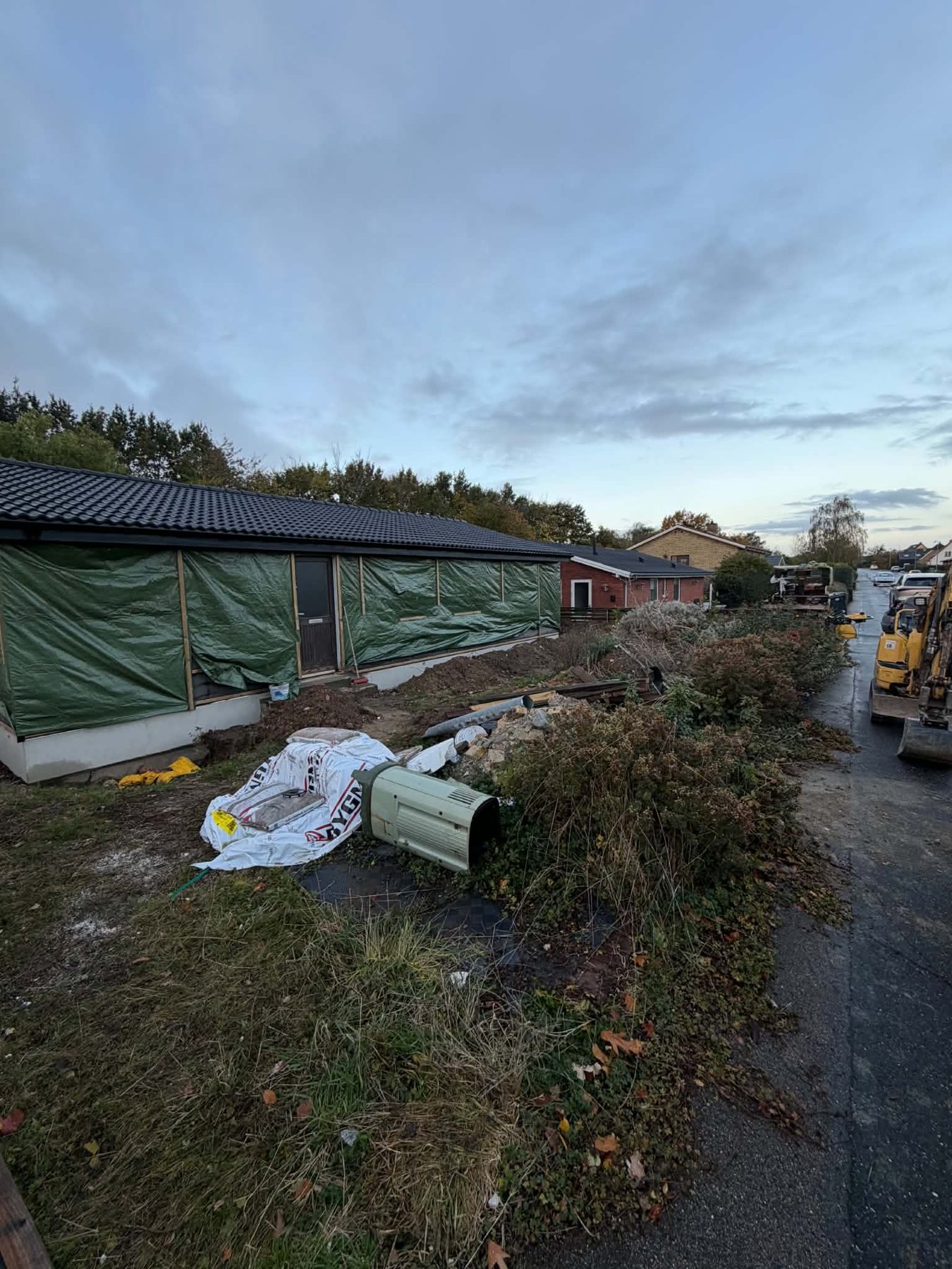 Grunden før oprydning. Bevoksning og affald langs vejen.